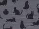 Katzen grau Katzen grau