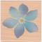 Stempel Blüte blau Stempel Blüte blau