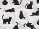 Katzen weiß Katzen weiß
