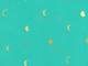 Cotton+Steel Moon Phase Turquoise Metallic Cotton+Steel Moon Phase Turquoise Metallic