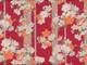 Sakura asanoha rot Sakura asanoha rot