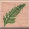 Stempel Farn Stempel Farn