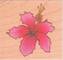 Stempel Hibiskus