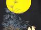 Panel Mond Hase Panel Mond Hase