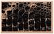 Stempel Wild Life Krokodilmuster Stempel Wild Life Krokodilmuster