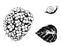 Stempelset Hortensie Stempelset Hortensie