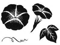 Stempelset Morning glory Stempelset Morning glory