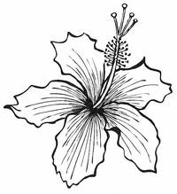 Stempel Hibiskus Stempel Hibiskus