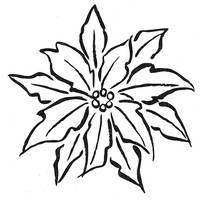 Stempel Weihnachtsstern Stempel Weihnachtsstern