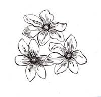 Stempel Vergissmeinnicht Stempel Vergissmeinnicht