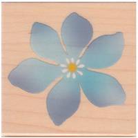 Stempel Blüte blau Stempel Blüte blau