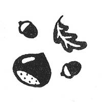 Stempel Eichel & Kastanie Stempel Eichel & Kastanie