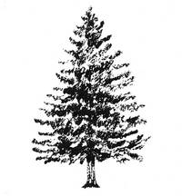 Stempel Baum Stempel Baum