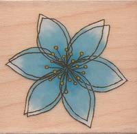 Stempel Blüte blau Stempel Blüte blau