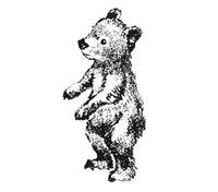 Stempel Bär Stempel Bär