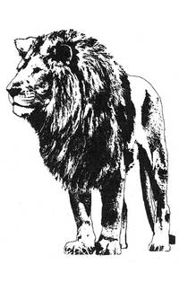 Stempel Löwe Stempel Löwe