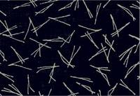 Matsu groß indigoblau Matsu groß indigoblau