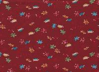 Schildkröte rot Schildkröte rot