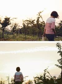 Fat Quarter 3er Pack Forest owl Fat Quarter 3er Pack Forest owl