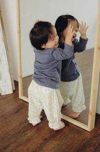 Fat Quarter 3er Pack Firefly Fat Quarter 3er Pack Firefly