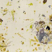 nani IRO ENCOUNTER C nani IRO ENCOUNTER C