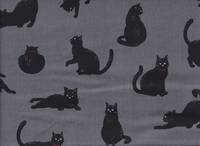Katzen grau Katzen grau