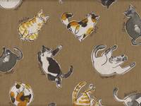 Katzen ocker Katzen ocker