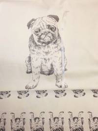 Panel Möpse weiß Panel Möpse weiß