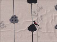 Echino Balance Bird nature Echino Balance Bird nature