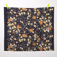 nani IRO rakuen E nani IRO rakuen E