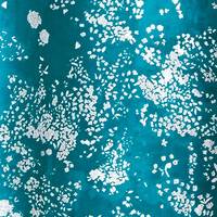 nani IRO Lei nani C organic lawn nani IRO Lei nani C organic lawn