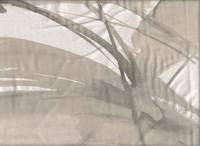 nani IRO Clear Heart Fukami double gauze nani IRO Clear Heart Fukami double gauze