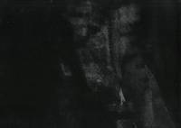 nani IRO Peinture à l'eauⅡSATIN nani IRO Peinture à l'eauⅡSATIN