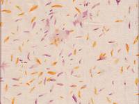 nani IRO Mercy A nani IRO Mercy A