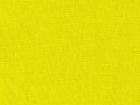 Tayutou uni lemon yellow Tayutou uni lemon yellow