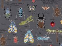 Wachstuch Insect Encyclopedia grau Wachstuch Insect Encyclopedia grau